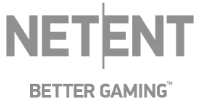 Payment Gateway logo